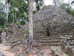 coba