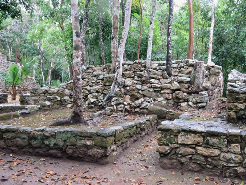 coba