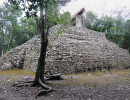coba