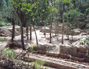 3 a small plaza at the mayan copan ruins in honduras