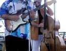 duke robillard  2 