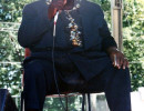 harmonica fats  2 