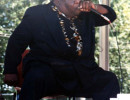 harmonica fats