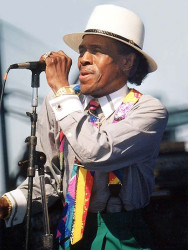 junior wells  2 