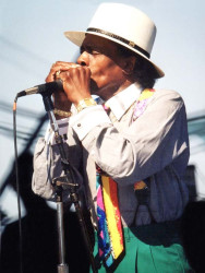 junior wells  3 