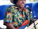 lonnie brooks  7 