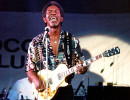 luther allison ig