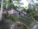22 tikal archeological site in the guatemalan jungle