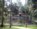 36 small temple in the jungle surrounding tikal