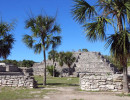 xcampo