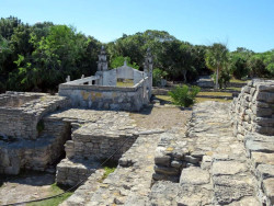 xcampo