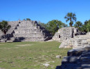 xcampo