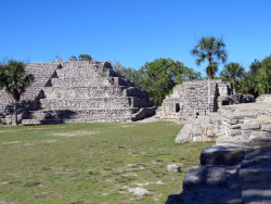 xcampo