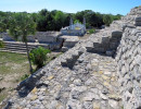 xcampo