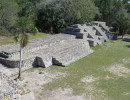 xcampo