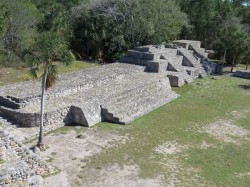 xcampo
