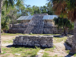 xcampo