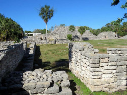 xcampo