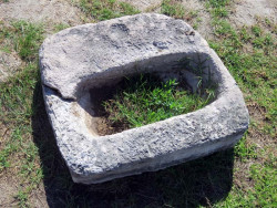 xcampo