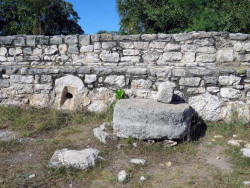 xcampo