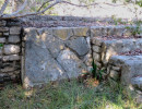 xcampo