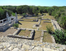 xcampo