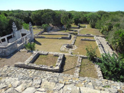 xcampo